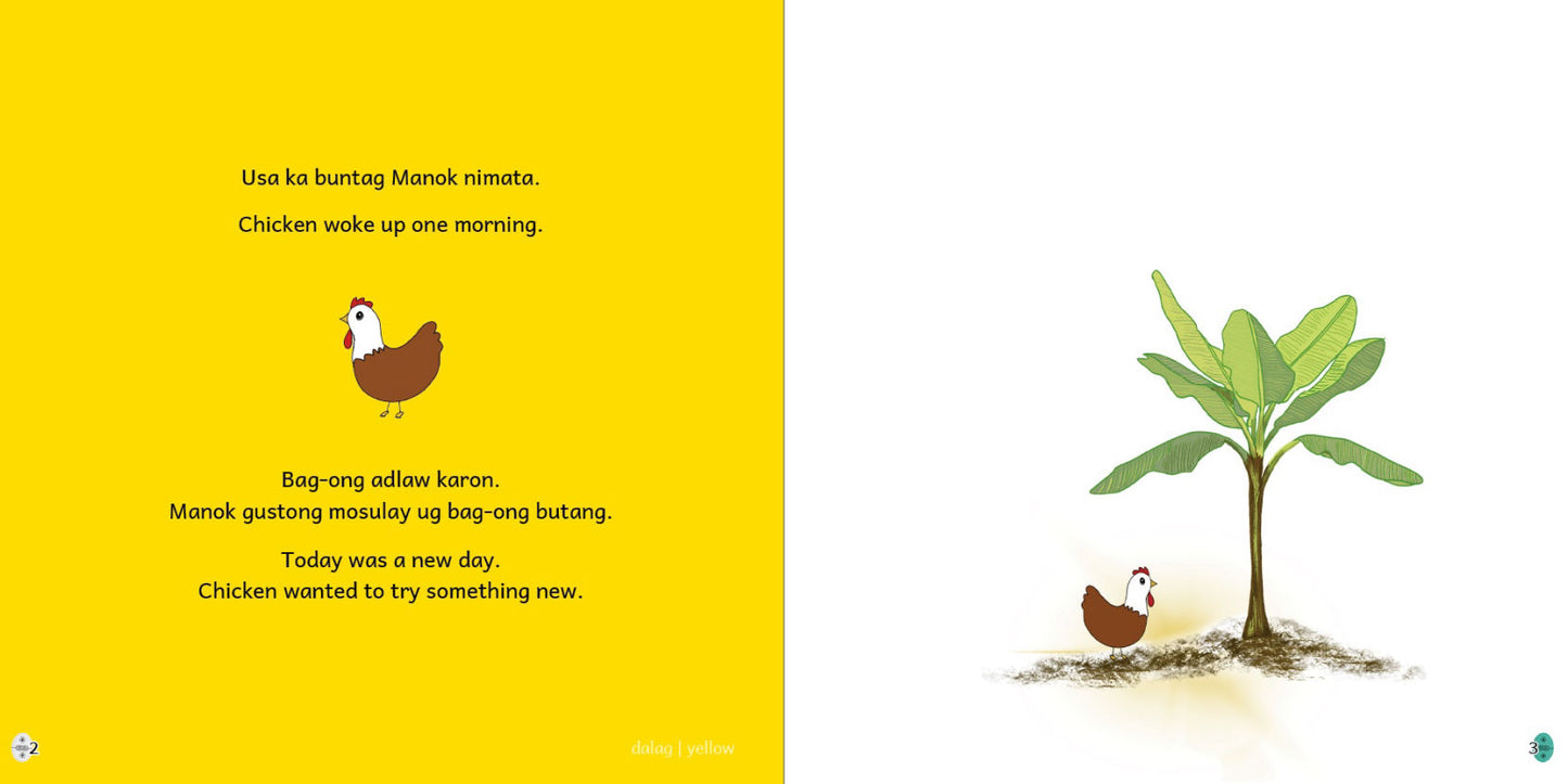 Manok | Chicken