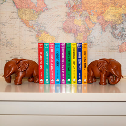 Bitty Bao Classic Edition Blind Box