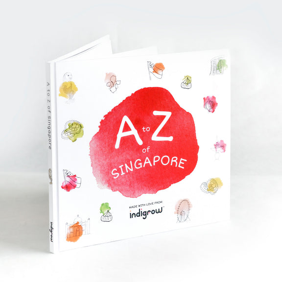A to Z of Singapore Playbook